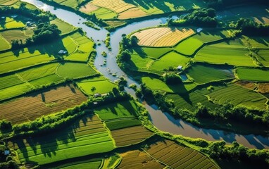 Aerial View of a Serene River Winding Through Lush Green Fields
