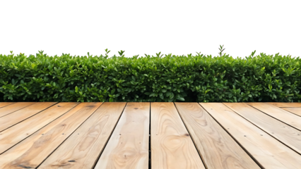 Wooden floor with green bushes isolated on transparent background.png