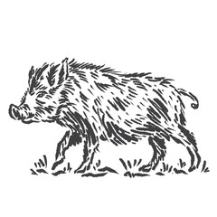 vector sketch of a calm wild boar