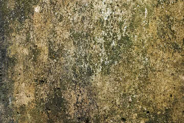 Abstract texture of old and mossy wall. Old wall background texture
