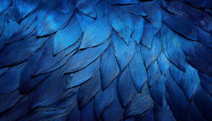 Fototapeta premium An image with a blue texture placed on a dark blue background.