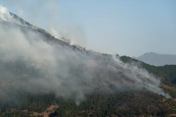 Forest fire in Bhutan