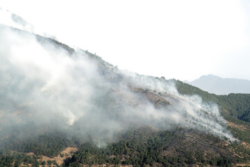 Forest fire in Bhutan