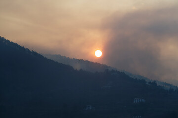 Red sun rising after forest fire