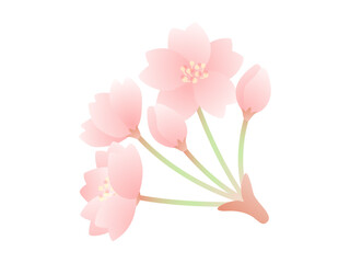 桜のイラスト素材