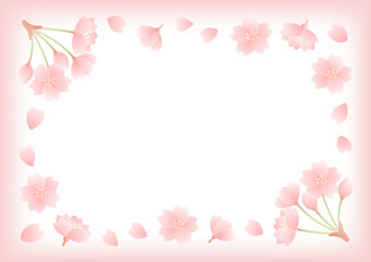 Obraz premium 春の桜の花のフレームのベクターイラスト08
