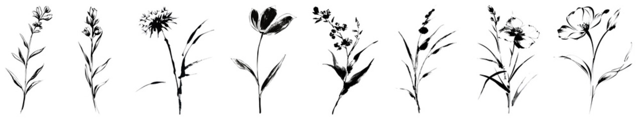 PNG Elegant floral silhouette designs, element set on transparent background