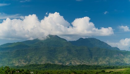The fields dance in the wind, celebrating life.  