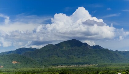 Birds soar gracefully beneath the fluffy clouds.  