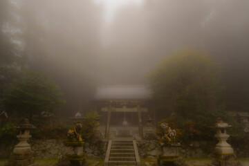 神秘的な高天彦神社