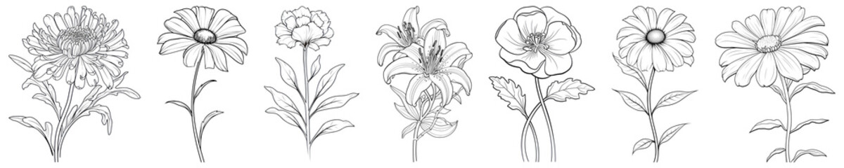 Drawing flower illustration png cut out element set, transparent background