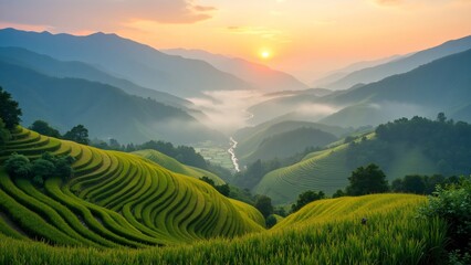 Fototapeta premium Terraced Rice Fields with a Scenic Sunrise