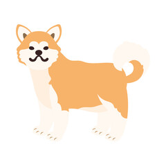 秋田犬。フラットなベクターイラスト。
Akita (dog breed). Flat vector illustration.