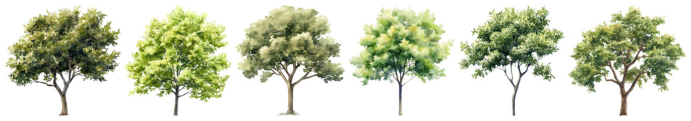Obraz premium PNG Lush green trees illustration set, isolated on transparent background