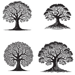 Detailed Monochrome Vector Silhouettes of the Sacred Bodhi Tree Isolated on a White Background"