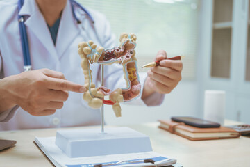 Male doctor treating intestinal diseases at a hospital table, discussing intestinal disease models,...
