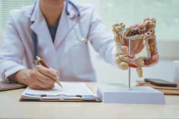 Male doctor treating intestinal diseases at a hospital table, discussing intestinal disease models,...