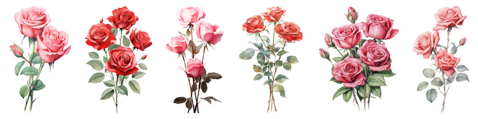 PNG Vibrant roses in artistic arrangement, element set on transparent background