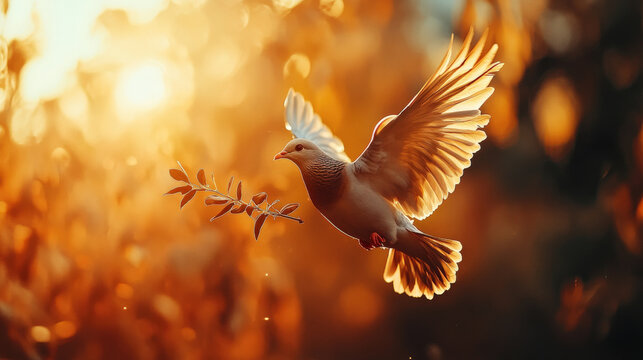 dove flying gracefully with olive branch symbolizes peace and hope, illuminated by warm sunlight in serene natural setting