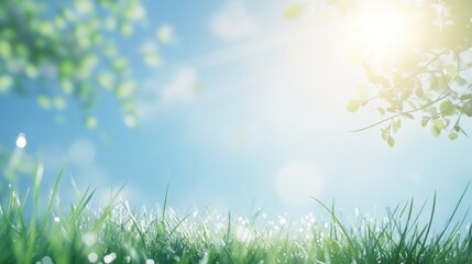 Obraz premium Sunlit Grass and Leaves