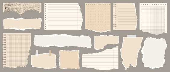 Light beige paper shapes with jagged uneven edges. Torn paper, shreds of notebook pages, old newspaper. Torn paper pieces set. Ripped fragments for message label, banner, collage, text box, sticker