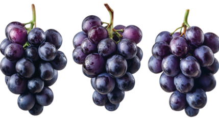 fresh black grapes isolated on transparent background