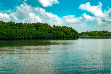 Scenic view of Mangrove trees on the meandering estuary of the Ramisi River in Funzi Island, Diani Beach, Kenya 