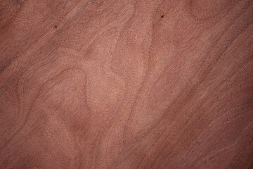 Natural wooden surface with subtle grain texture. Texture of the wood. Making it ideal for use as a background in design woodworking projects.