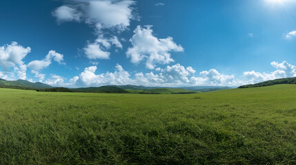 Obraz premium A vast, open green grassland beneath a clear blue sky and fluffy white clouds, stretching toward the horizon. The clean and simple background emphasizes the contrast between light and dark