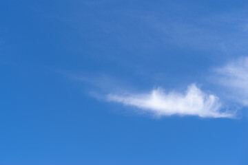 Fototapeta premium 見上げると綺麗な青い空