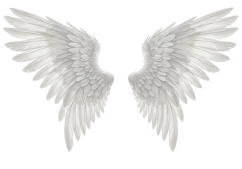 Fototapeta premium Pair of large white feathered angel wings, isolated on white background