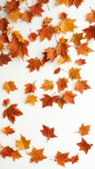 Autumn leaves falling on white background, seasonal, yellow, colorful
