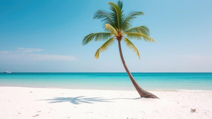 Obraz premium A tranquil beach scene with a single palm tree standing tall amidst the white sand, with a calm turquoise lagoon in the background, palm, beach