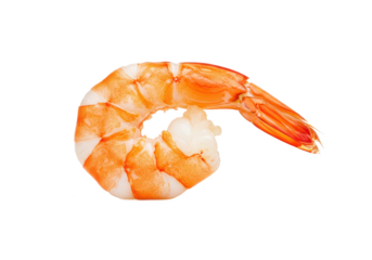Single peeled shrimp in a curled shape, orange and white in color, isolated on white background