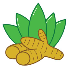 Turmeric Illustration - Vibrant Vector Art of Turmeric Root and Spice for Culinary and Herbal Themes