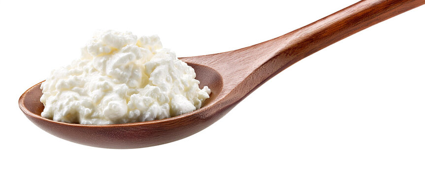 スプーンに乗せたカッテージチーズ。白背景。（Cottage cheese on a spoon on white background）
