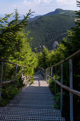 Long Metallic Stairs Going Down Through A Pine Forest, Hills And Forest In The Background With A Cloudy Sky  In The Ceahlău Massif (Masivul Ceahlău)