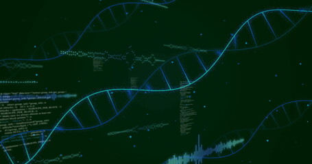 Image of data processing over dna strand on black background