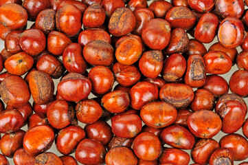 Fresh chestnuts