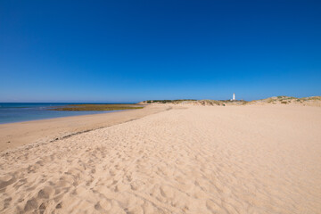 landscape of lonely and beautiful wild Varadero Beach or Cala Marisucia, in Canos Meca village (Barbate, Cadiz, Andalusia, Spain) and Cape Trafalgar with lighthouse
