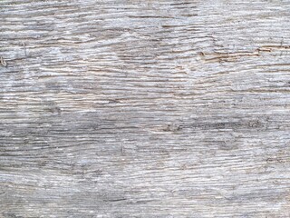 Close-up of weathered teak bark, showing natural texture and deep grooves. Ideal for rustic, natural, and organic designs. Adds warmth and character to any space.