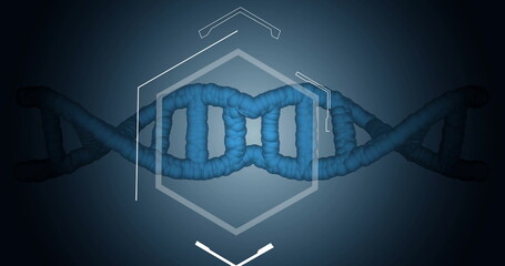 Image of hexagon over dna strand