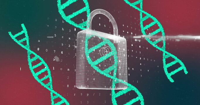 Image of dna strands, scientific data processing over padlock