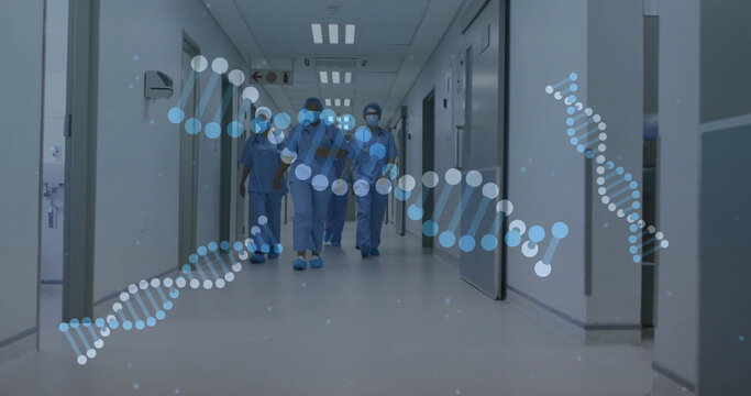 Image of dna strands over diverse surgeons walking - Powered by Adobe