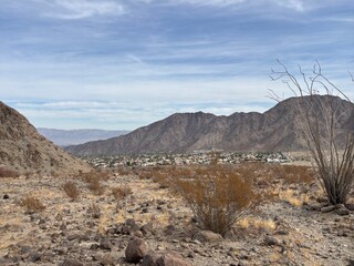 Desert Landscape with Mountain Views and Suburban Oasis