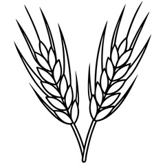 Elegant Barley Grain Vector Art