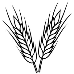 Elegant Barley Grain Vector Art