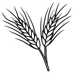 Elegant Barley Grain Vector Art