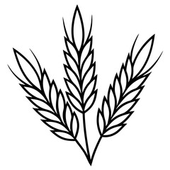 Elegant Barley Grain Vector Art