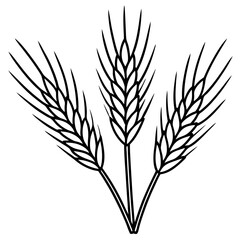 Elegant Barley Grain Vector Art
